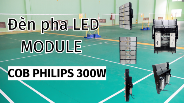 den-pha-led-module-cob-300w