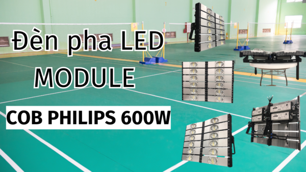 den-pha-led-module-cob-600w